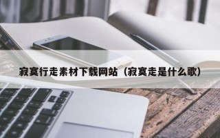 宜昌寂寞行走素材下载网站（寂寞走是什么歌）